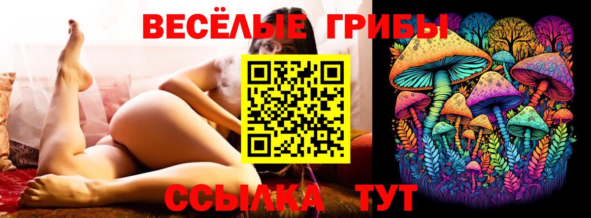 Нерюнгри  Псилоцибиновые грибы MAGIC MUSHROOMS  Вход с VPN  Псилоцибиновые грибы Psilocybe 